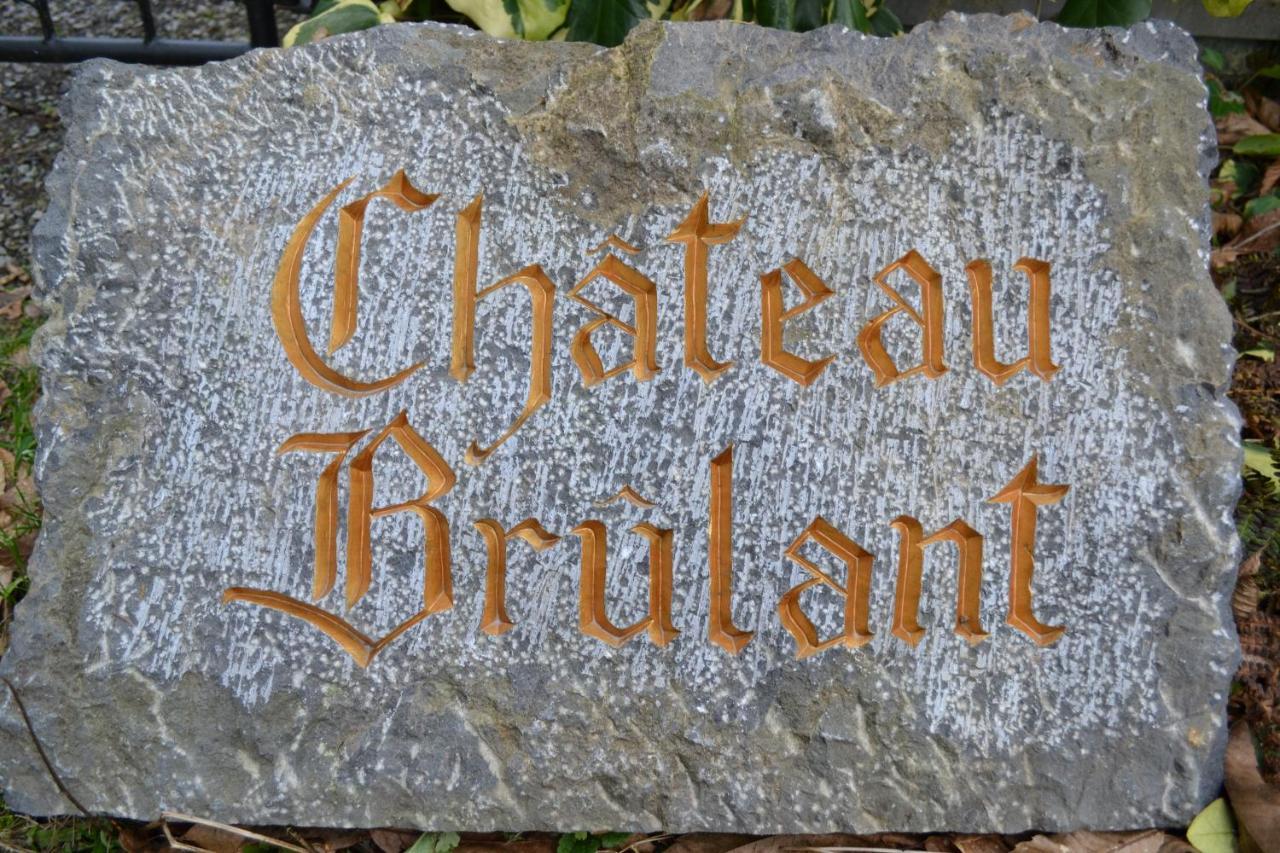 Chateau Brulant Somme-Leuze Eksteriør bilde